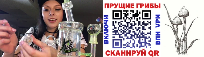 где купить наркотик  мега ТОР  Псилоцибиновые грибы GOLDEN TEACHER  Барнаул 